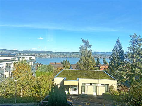 wohnungen wädenswil|Appartement à louer à Wädenswil: 31 résultats